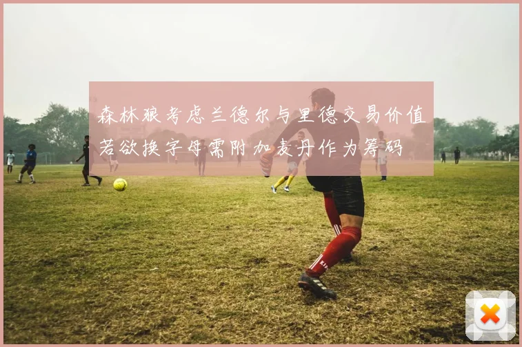 森林狼考虑兰德尔与里德交易价值若欲换字母需附加麦丹作为筹码